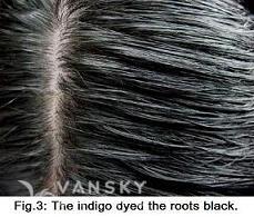 241030110901_Hair-Dyed with indigo-s.jpg